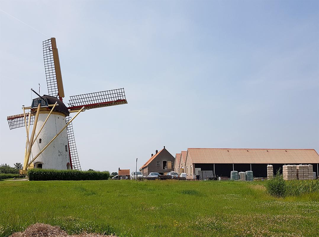 4, Molen 03556 (Naamloos) (Biggekerke), Pieter Zuijkerbuijk (25-6-2019) | Database Nederlandse molens