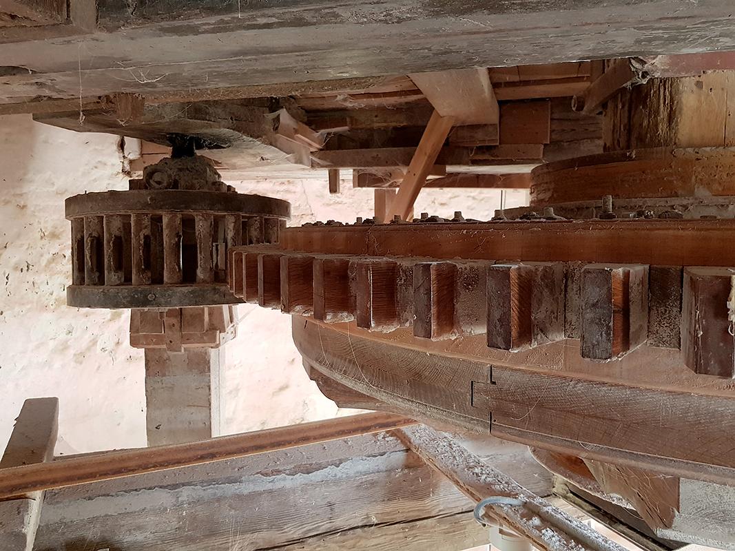 17, Molen 03556 (Naamloos) (Biggekerke), Pieter Zuijkerbuijk (25-6-2019) | Database Nederlandse molens