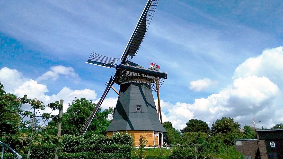 1, Molen 04895 De Hoop en Verwachting (Borssele), Mike Turczynowicz (30-5-2015) | Database Nederlandse molens