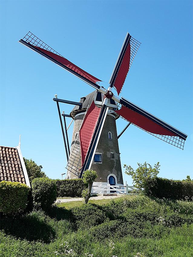 Molen 04903 De Haan (Brouwershaven), Jeroen van Dijke (9-5-2020) | Database Nederlandse molens