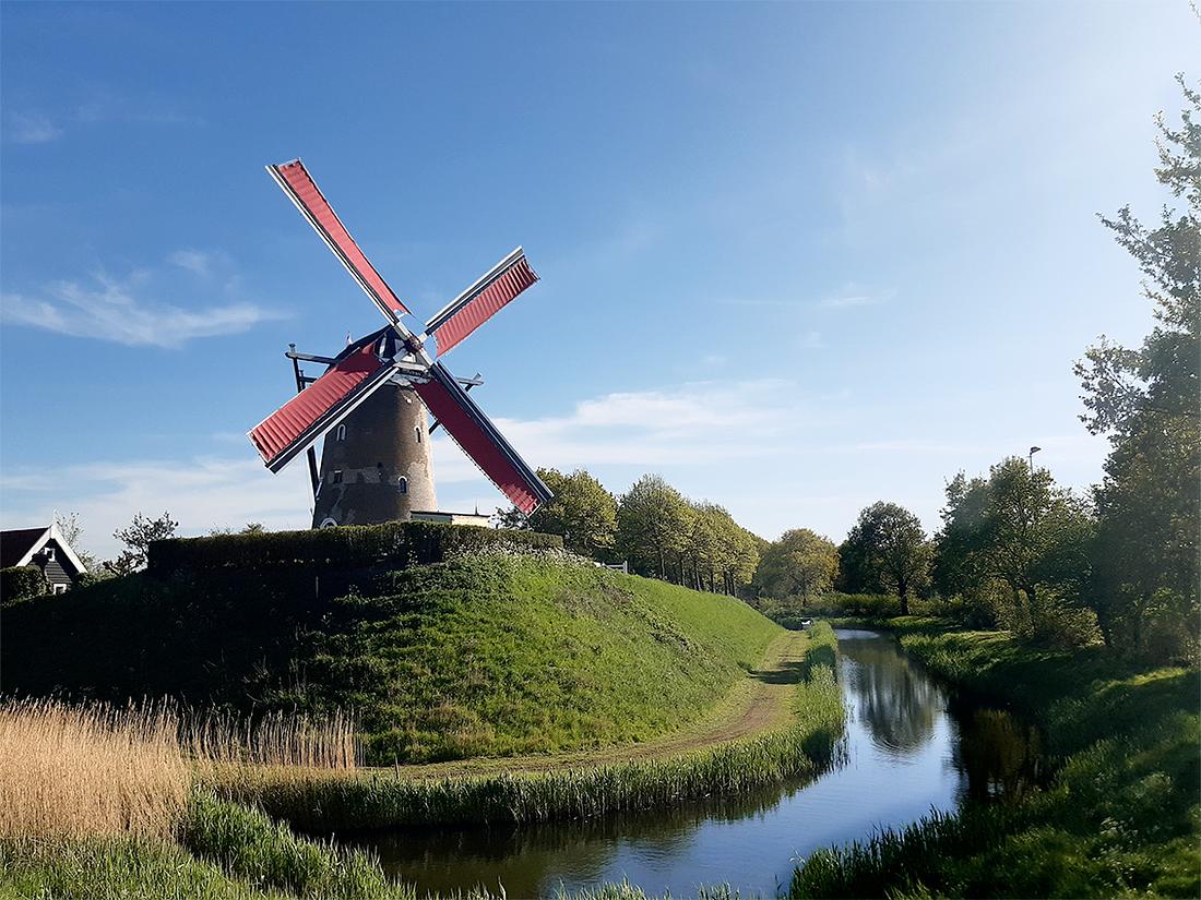 1, Molen 04903 De Haan (Brouwershaven), Jeroen van Dijke (24-4-2020) Een van de eerste keren dat de molen weer met 4 zeilen draaide.  | Database Nederlandse molens