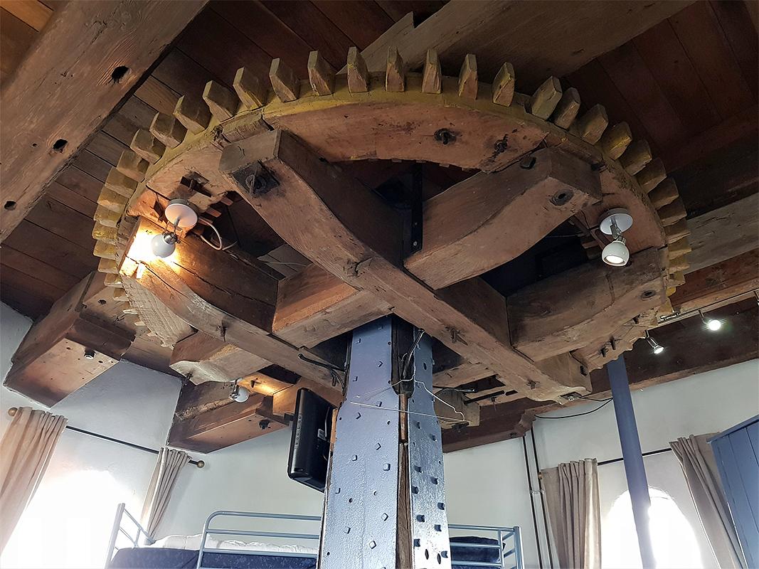 13, Molen 04903 De Haan (Brouwershaven),  Pieter Zuijkerbuijk (19-09-2019) | Database Nederlandse molens