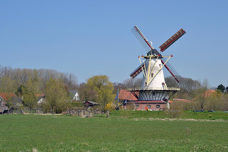 4, Molen 04899 De Graanhalm (Burgh-Haamstede), Rob Pols (1-5-2013) | Database Nederlandse molens