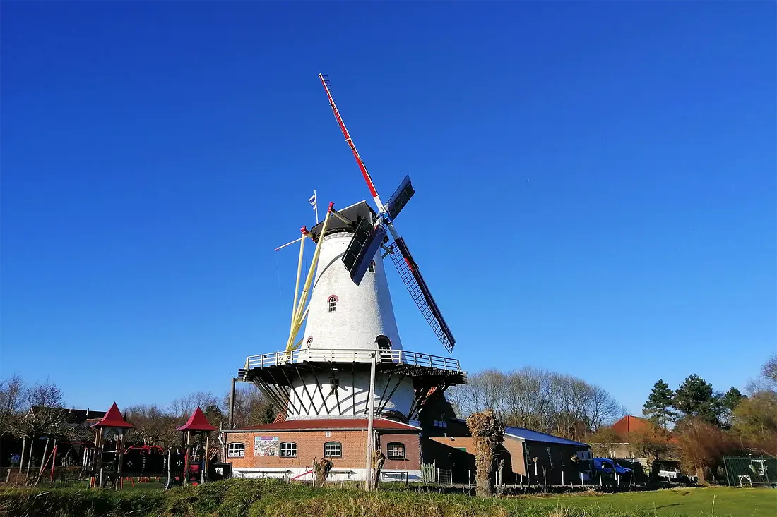 5, Molen 04899 De Graanhalm (Burgh-Haamstede), Lukas Vandael (27-2-2022) | Database Nederlandse molens