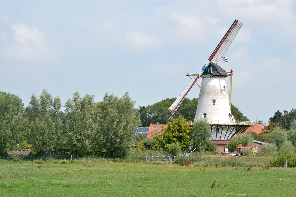 26, Molen 04899 De Graanhalm (Burgh-Haamstede), Rob Pols (26-7-2017)De Graanhalm, met als commentaar: zo zal de Graanhalm de komende tijd te zien zijn. Draaien met 1 wiek is ook te doen. Naar aanleiding van de technische onderzoeken naar deelbare roeden, hebben een 50-tal molens, waaronder de onze, het verzoek gekregen voorlopig niet te draaien. Dan maar zo. | Database Nederlandse molens