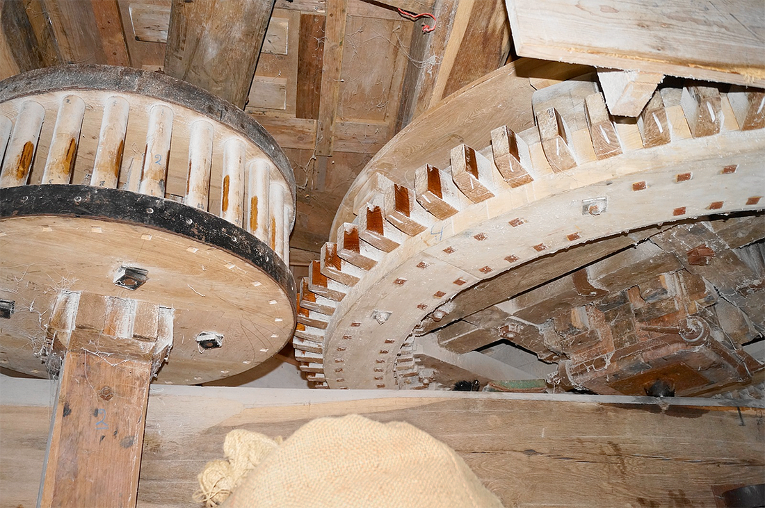 13, Molen 01671 Nooit Gedacht (Cadzand), Boukje van Leijen (20-8-2016) | Database Nederlandse molens