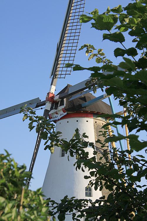 4, Molen 03537 De Oude Molen (Colijnsplaat), Walter Cuyvers (23-7-2012). | Database Nederlandse molens