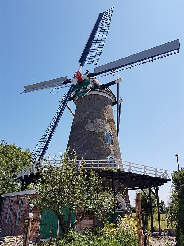 Molen 01658 Nooit Gedacht (Eindewege ('s Heer Arendskerke)), Pieter Zuijkerbuijk (5-7-2019) | Database Nederlandse molens