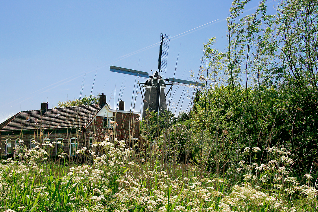 1, Molen 01658 Nooit Gedacht (Eindewege ('s Heer Arendskerke)), Ton Koorevaar (25-5-2012) | Database Nederlandse molens