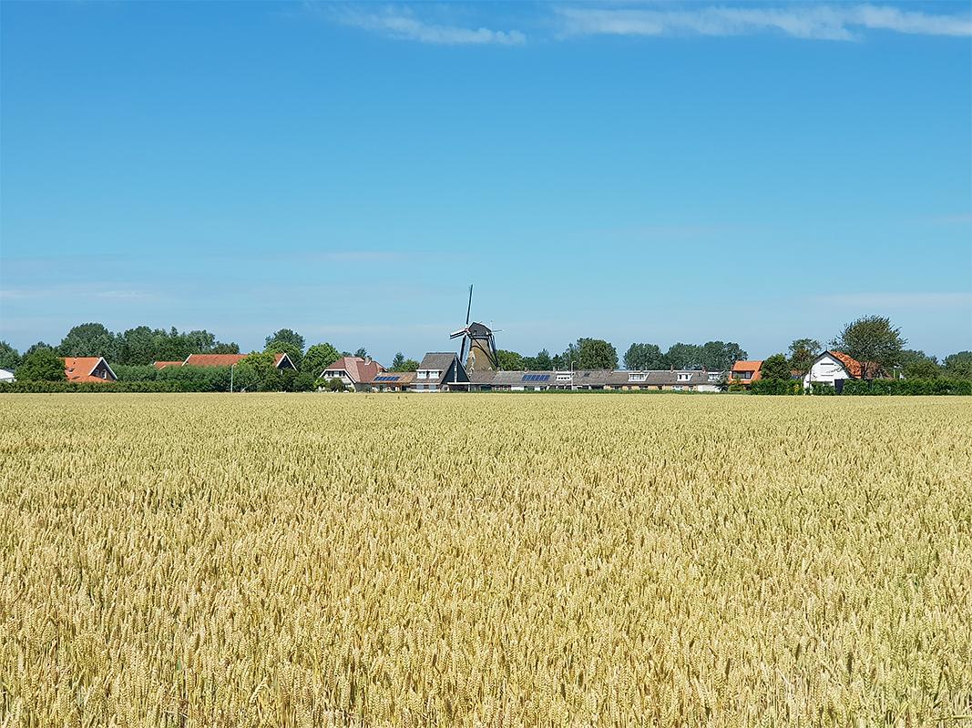 3, Molen 01658 Nooit Gedacht (Eindewege ('s Heer Arendskerke)), Pieter Zuijkerbuijk (5-7-2019) | Database Nederlandse molens