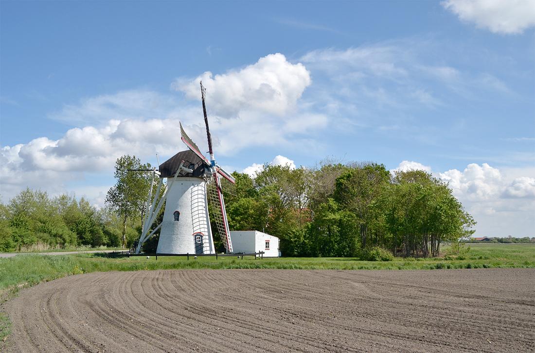 1, Molen 04901 't Hert / Oostermolen (Ellemeet), Rob Pols (26-4-2019)Niet alleen het kleine bos is een bron van zorg, ook de begoeiing links komt snel op. | Database Nederlandse molens