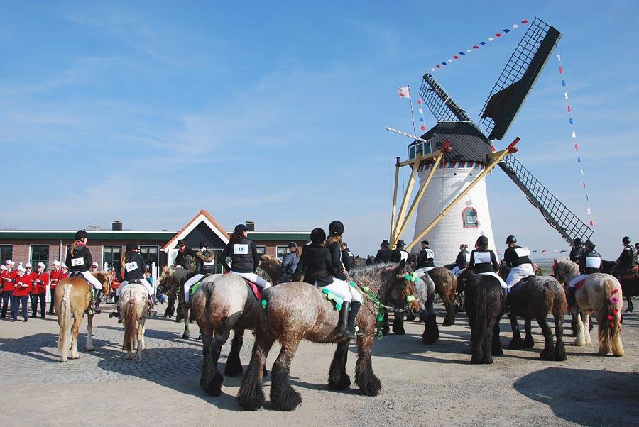 4, Molen 04902 De Lelie (Elkerzee / Scharendijke), Pim van der Male (21-4-2014) | Database Nederlandse molens