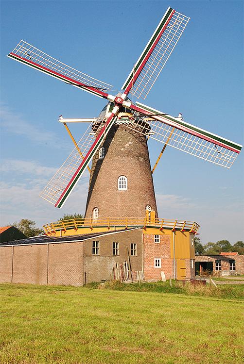 Molen 03545 De Graanhalm (Gapinge), Kees Kammeraat (3-10-2015) | Database Nederlandse molens