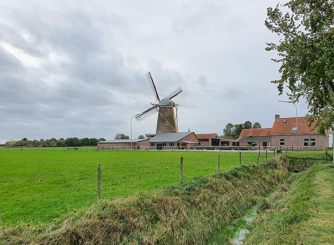 4, Molen 03545 De Graanhalm (Gapinge), Pieter Zuijkerbuijk (2-11-2019) | Database Nederlandse molens
