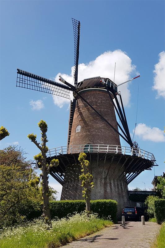2, Molen 01657 De Koornbloem (Goes), Pieter Zuijkerbuijk (4-5-2019) | Database Nederlandse molens