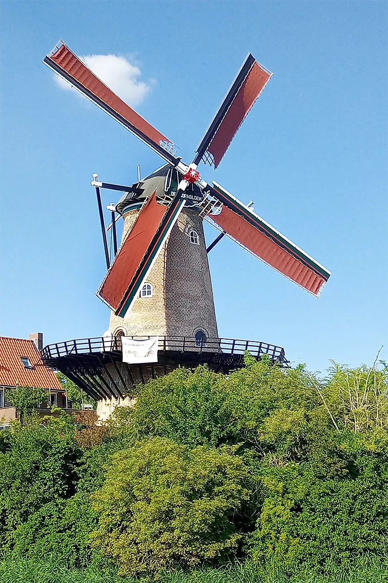 Molen 01657 De Koornbloem (Goes), Michel Dellebeke (23-6-2022)Derde maal proefdraaien van de molen na omvangrijke restauratie, zonder problemen. De kleurstelling is grotendeels terug naar de situatie in de jaren 70, toen de molen nog in gebruik was met Van Riet-wieken. | Database Nederlandse molens
