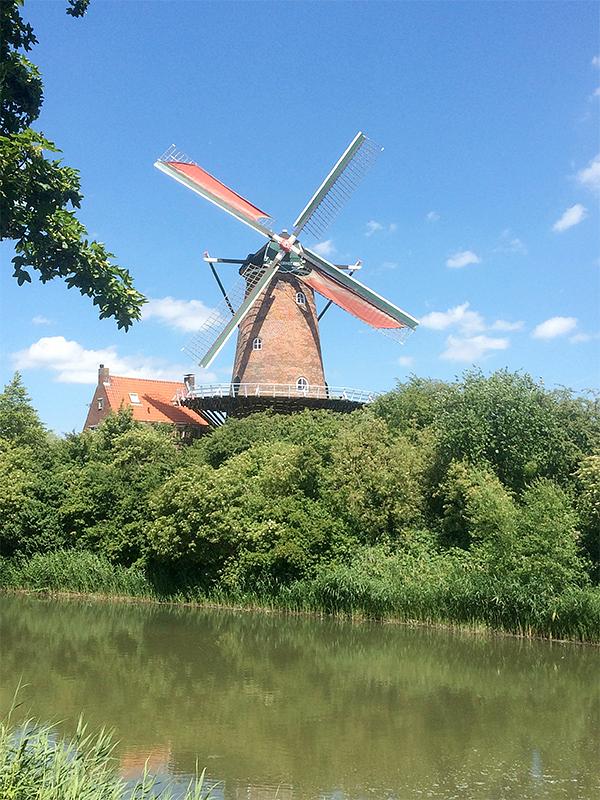 4, Molen 01657 De Koornbloem (Goes), Jasper Boonman (10-6-2017) | Database Nederlandse molens