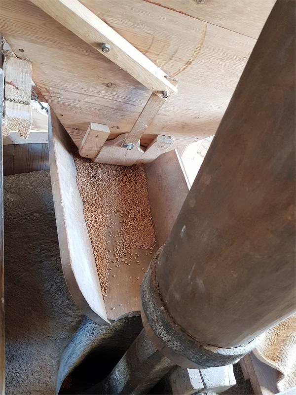 12, Molen 03493 De Koutermolen (Hoedekenskerke), Pieter Zuijkerbuijk (21-09-2019) | Database Nederlandse molens