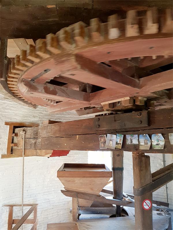 13, Molen 03493 De Koutermolen (Hoedekenskerke), Pieter Zuijkerbuijk (21-09-2019) | Database Nederlandse molens