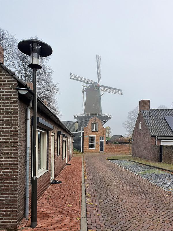 4, Molen 04196 De Stadsmolen (Hulst), Pieter Zuijkerbuijk (24-11-2019) | Database Nederlandse molens