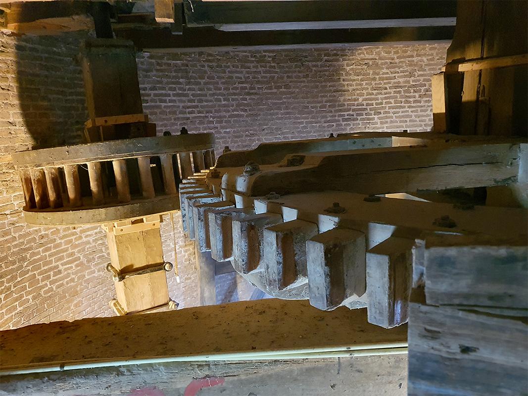 14, Molen 04196 De Stadsmolen (Hulst), Pieter Zuijkerbuijk (24-11-2019) | Database Nederlandse molens