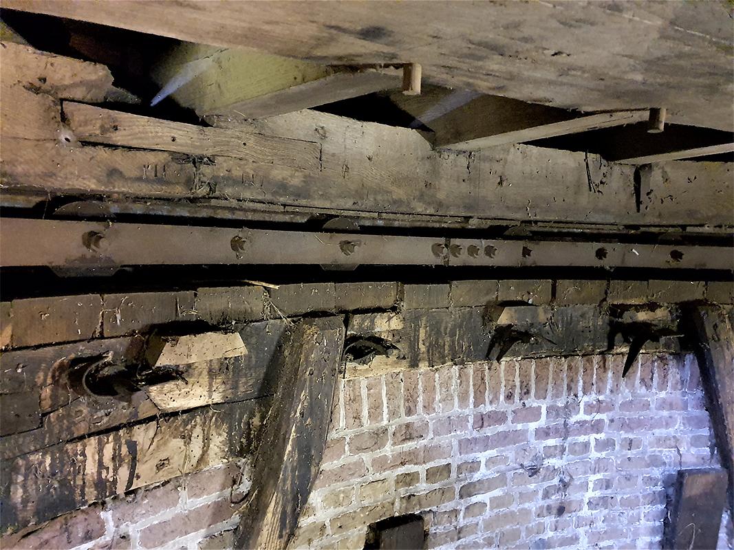 17, Molen 04196 De Stadsmolen (Hulst), Pieter Zuijkerbuijk (24-11-2019) | Database Nederlandse molens