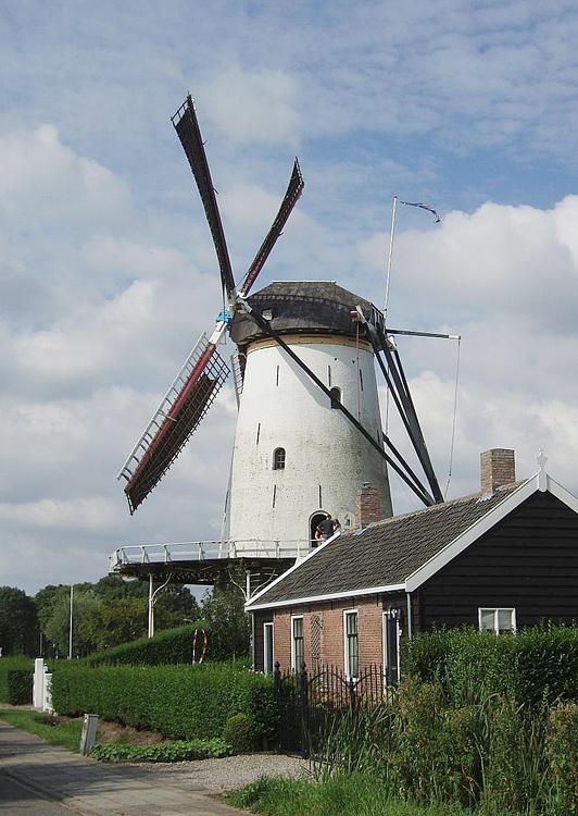 2, Molen 01656 Oostmolen (Kloetinge), Jeroen van Dijke (september 2012). | Database Nederlandse molens