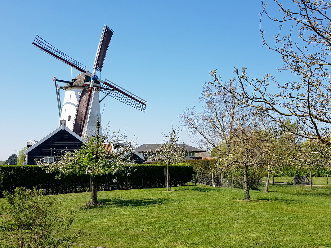 3, Molen 01656 Oostmolen (Kloetinge), Pieter Zuijkerbuijk (20-4-2019) | Database Nederlandse molens