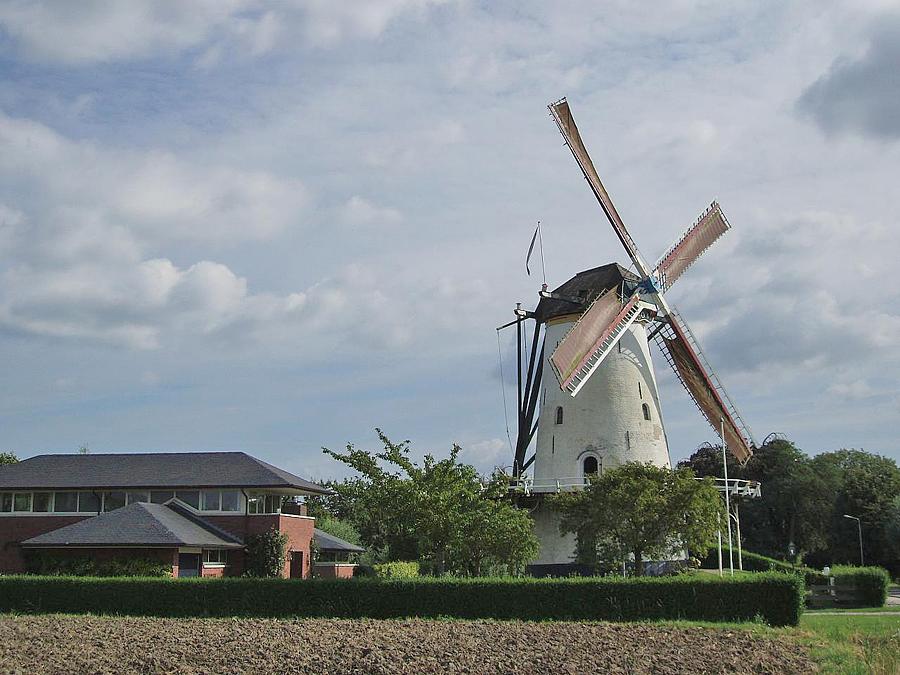 5, Molen 01656 Oostmolen (Kloetinge), Jeroen van Dijke (september 2012). | Database Nederlandse molens