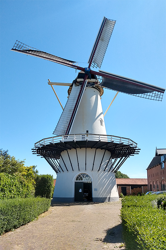 Molen 03555 De Lelie (Koudekerke), Jasper Corbijn (27-5-2020) | Database Nederlandse molens
