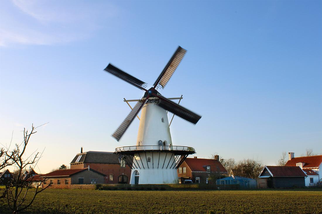 2, Molen 03555 De Lelie (Koudekerke),  Tony Hop (26-2-2022) | Database Nederlandse molens