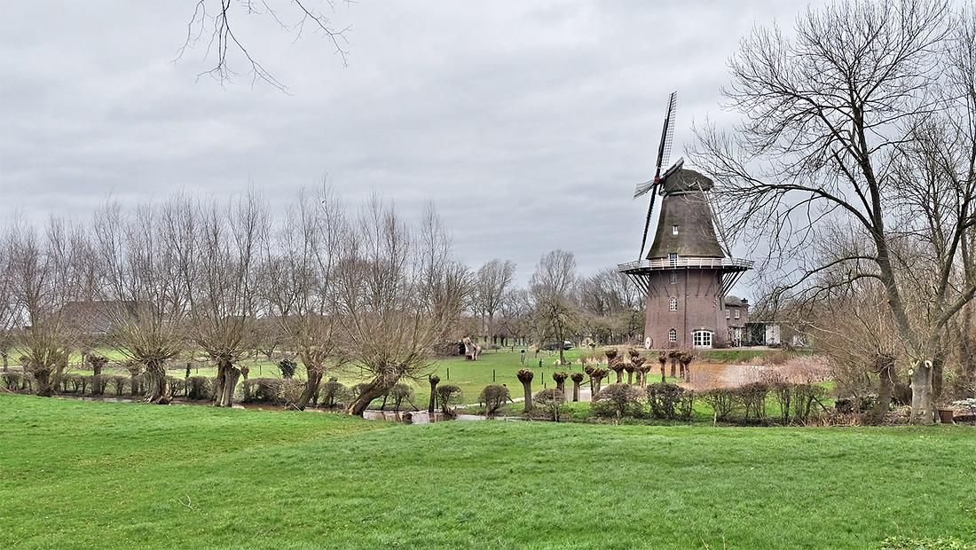 4, Molen 01856 Houdt Braef Stant (Welsum), Mieke Huijts (9-2-2020) | Database Nederlandse molens
