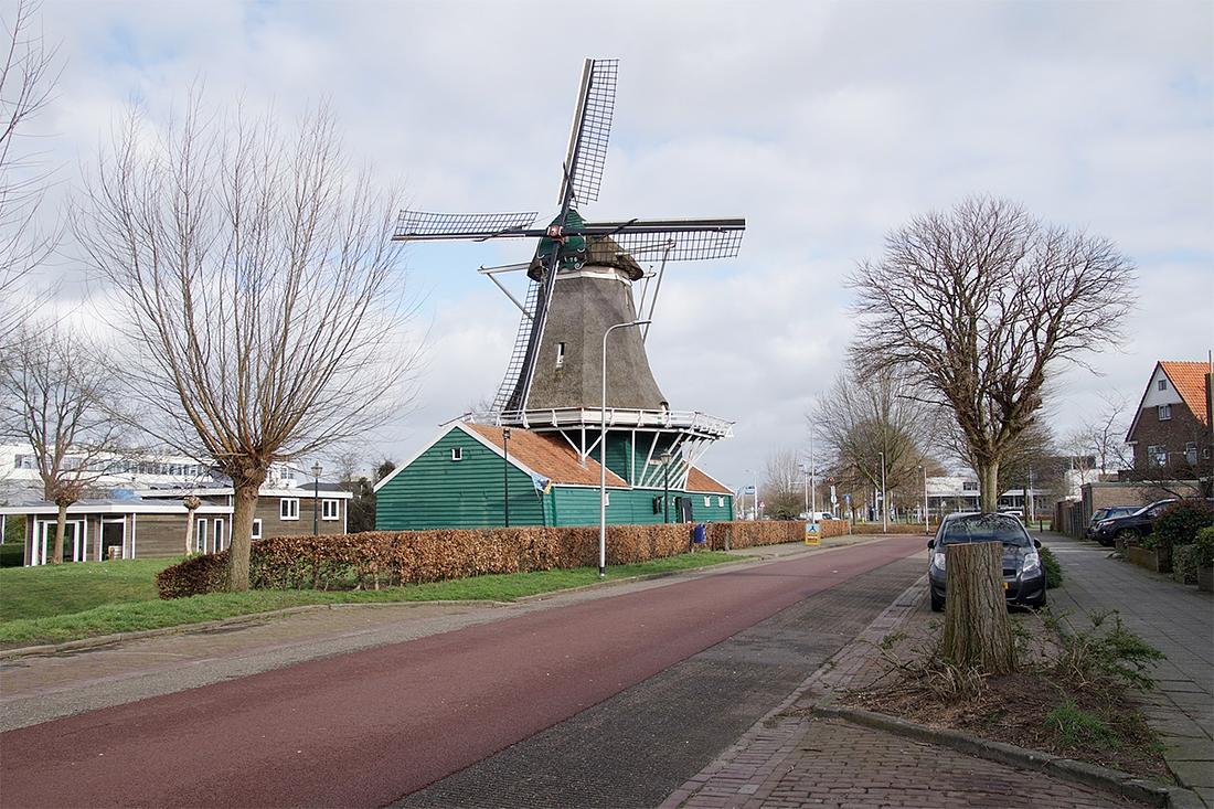 1, Molen 01840 De Passiebloem (Zwolle), Boukje van Leijen (19-2-2020) | Database Nederlandse molens