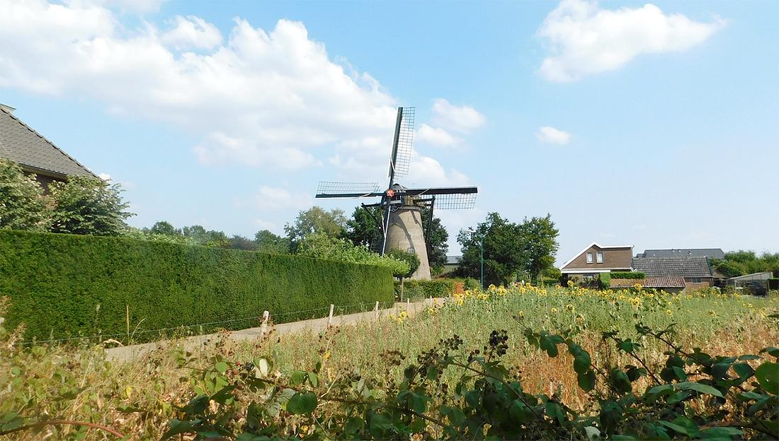 5, Molen 02483 't Wissel (Elst), Piet Glasbergen (21-7-2018) | Database Nederlandse molens