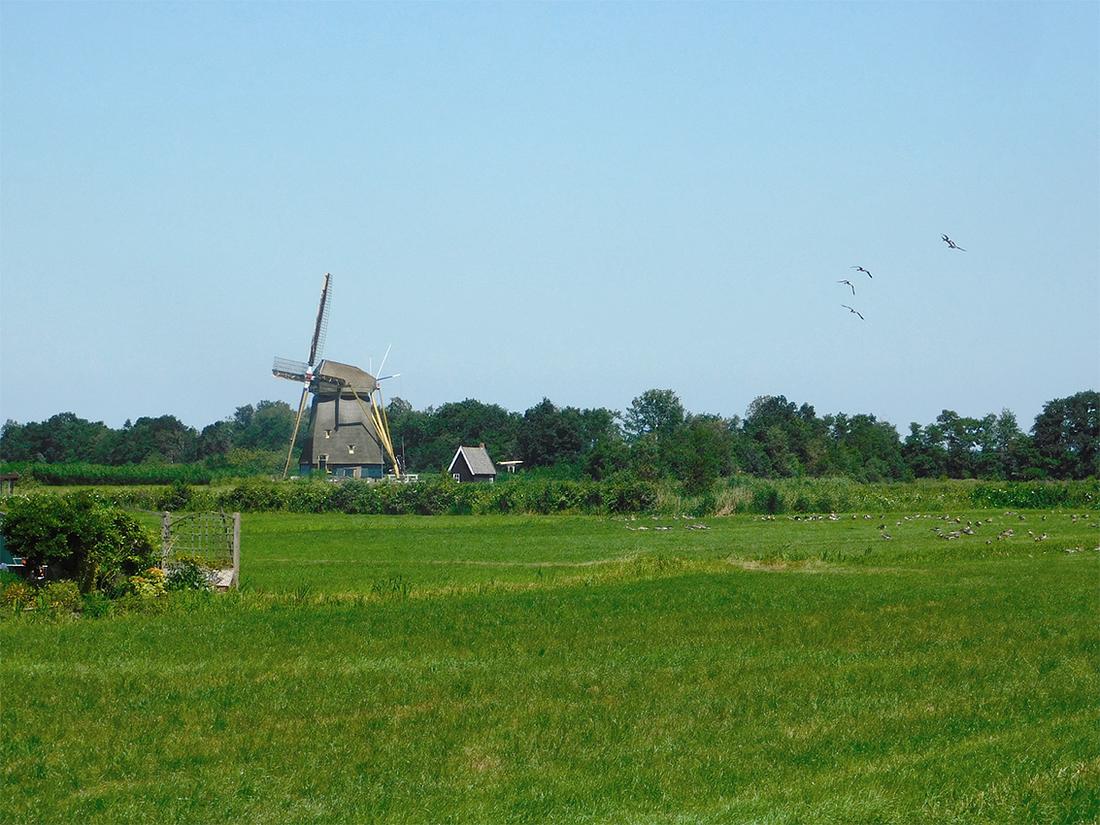 3, Molen 00007 Loenderveense Molen (Loenen aan de Vecht), Piet Glasbergen (29-6-2018) | Database Nederlandse molens