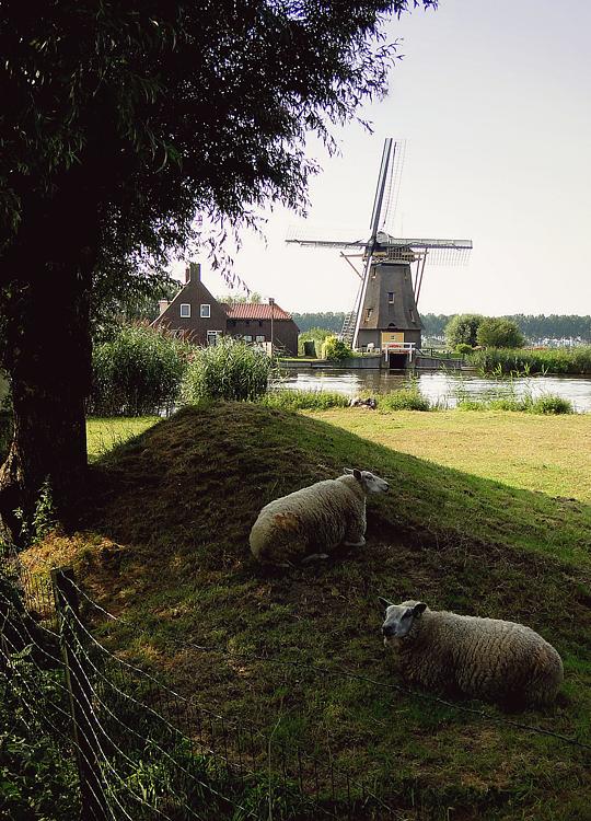 5, Molen 00284 Garstenmolen (Nigtevecht), Christina Zoet (29-8-2013) | Database Nederlandse molens