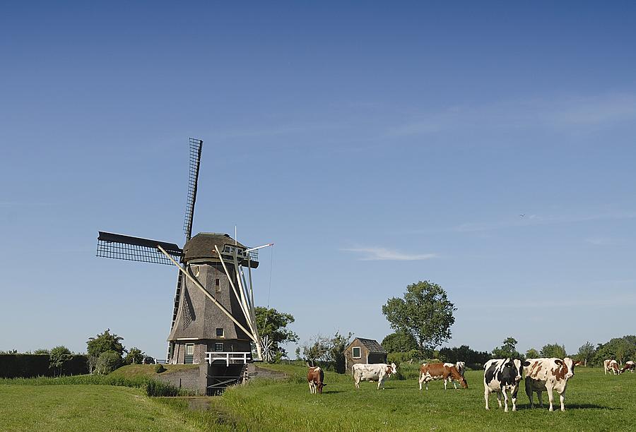 3, Molen 00287 Hoekermolen (Vreeland), Chris van Gijs (19-7-2013). | Database Nederlandse molens