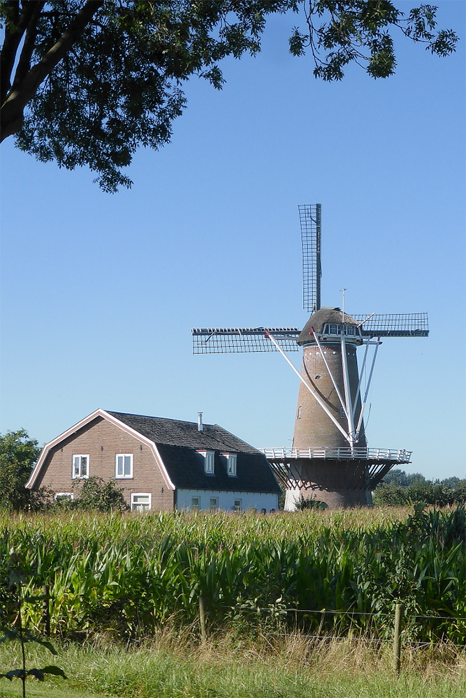 2, Molen 00258 b Rijn en Weert (Werkhoven), Peter ten Berg (24-8-2016) | Database Nederlandse molens
