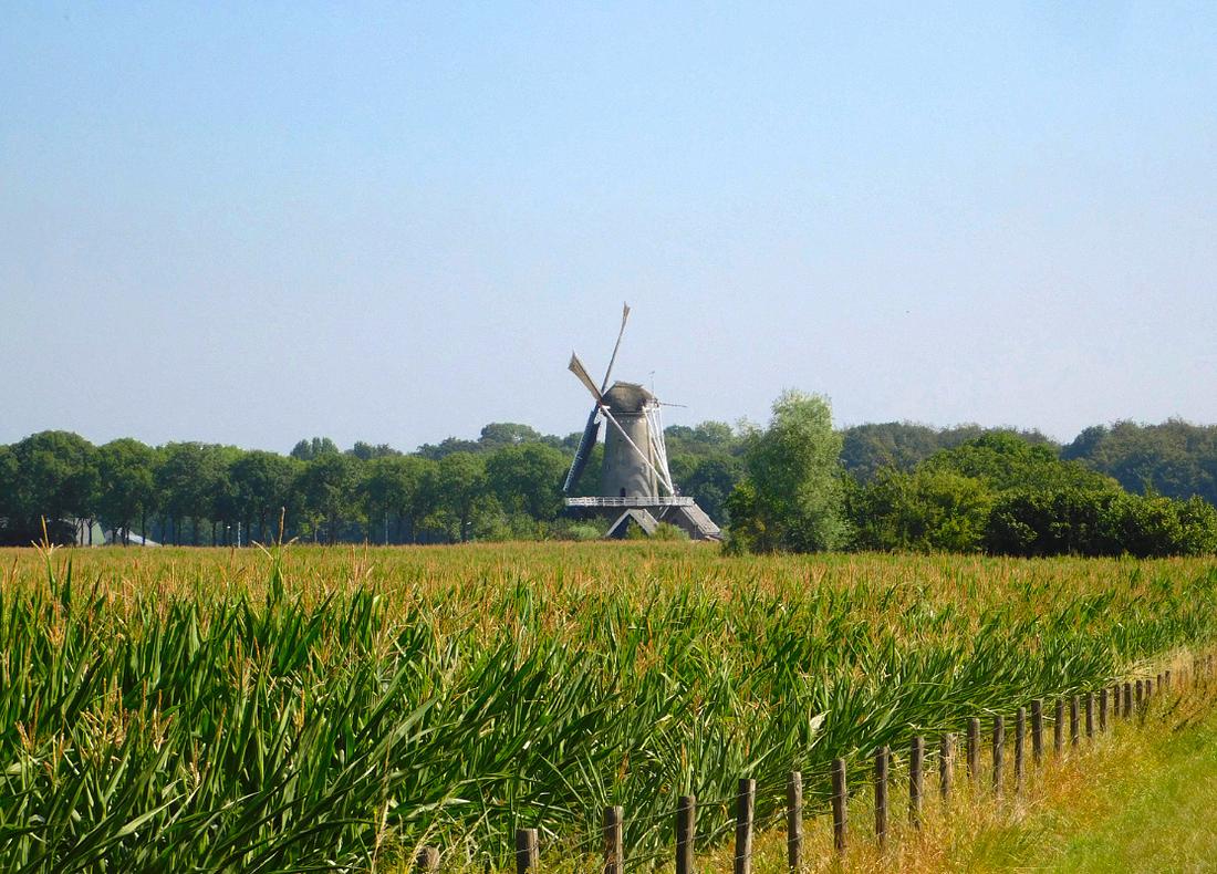 3, Molen 00258 b Rijn en Weert (Werkhoven), Piet Glasbergen (20-7-2018) | Database Nederlandse molens