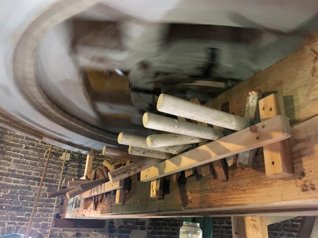 12, Molen 03533 De Korenbloem (Scherpenisse), Jesse Bergquist (7-9-2019) | Database Nederlandse molens