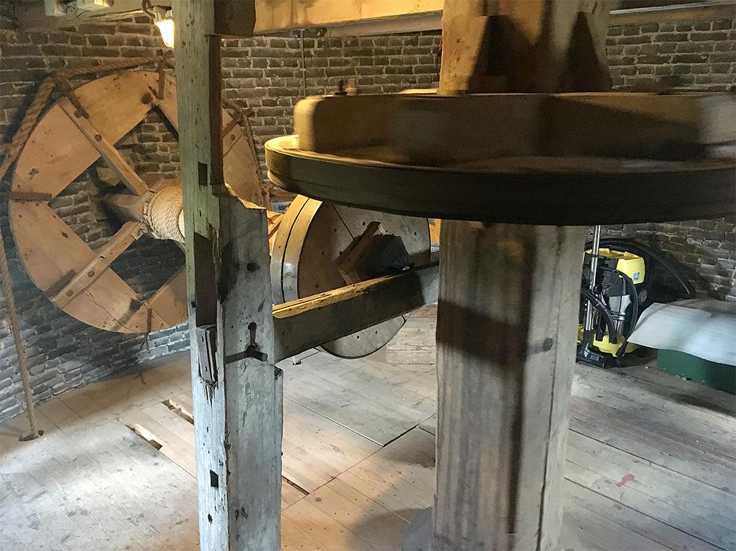13, Molen 03533 De Korenbloem (Scherpenisse), Jesse Bergquist (7-9-2019) | Database Nederlandse molens