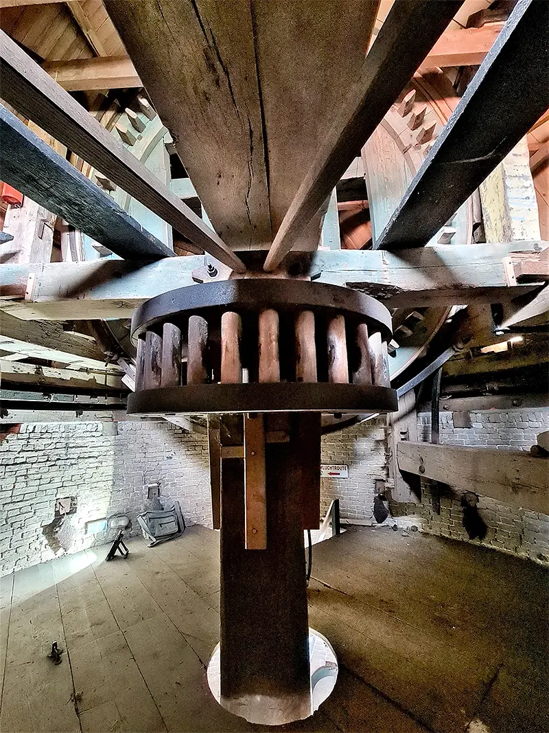 20, Molen 01874 De Vier Winden (Sint-Annaland), Pieter Zuijkerbuijk (26-5-2022) | Database Nederlandse molens