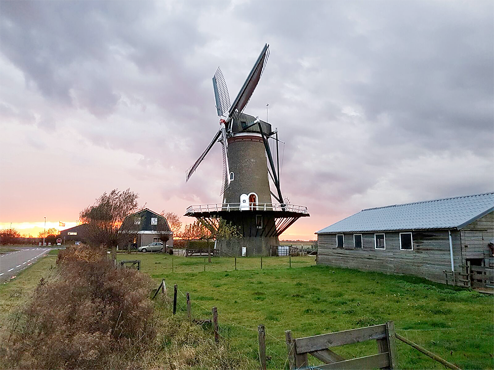 1, Molen 03531 De Nijverheid (Sint-Maartensdijk), Marc Polderman (11-2016) | Database Nederlandse molens