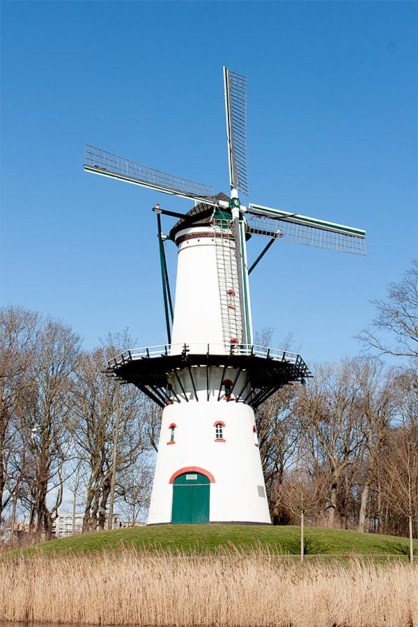 Molen 03527 De Hoop (Tholen), Bram Westerink (24-2-2021) | Database Nederlandse molens