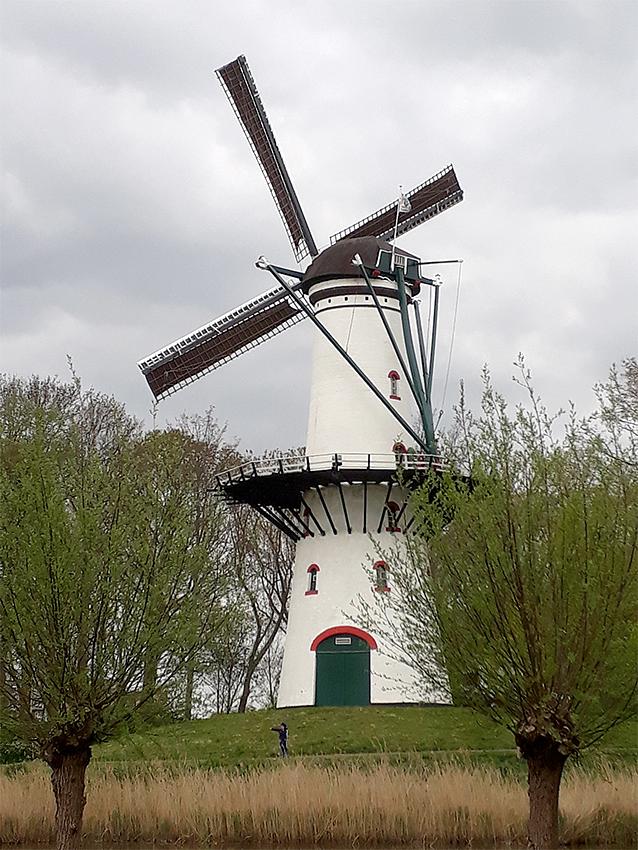 2, Molen 03527 De Hoop (Tholen), Jeroen van Dijke (14-4-2020) | Database Nederlandse molens
