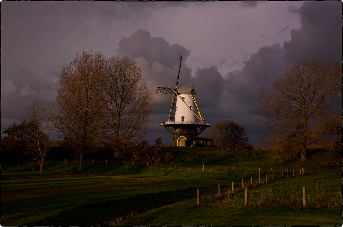 4, Molen 03319 De Koe (Veere), Teus Reijmerink (3-12-2017) | Database Nederlandse molens