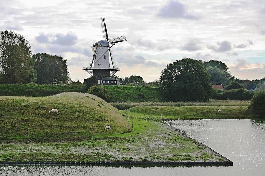 5, Molen 03319 De Koe (Veere), Anna Meesters (23-10-2013) | Database Nederlandse molens