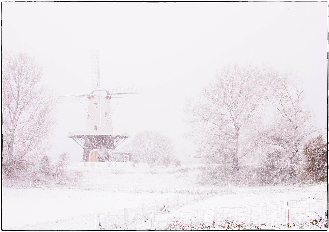 7, Molen 03319 De Koe (Veere), Teus Reijmerink (10-12-2017) | Database Nederlandse molens