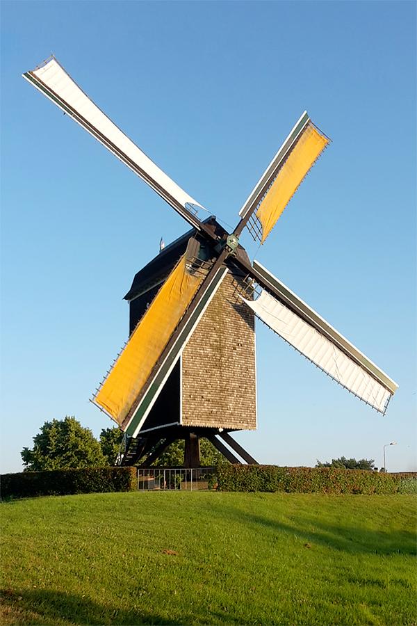 Molen 10203 De Hoed (Waarde), Michel Dellebeke (29-6-2018) | Database Nederlandse molens