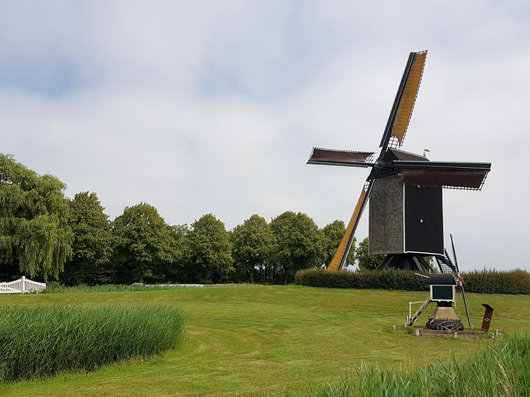 1, Molen 10203 De Hoed (Waarde), Pieter Zuijkerbuijk (26-6-2019) | Database Nederlandse molens
